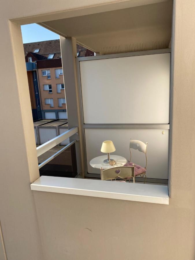 Charmant Studio A Haguenau, A 25Mn De Strasbourg Buitenkant foto